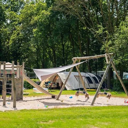 Forest 6 Persons #1211 Holiday home Maasbree
